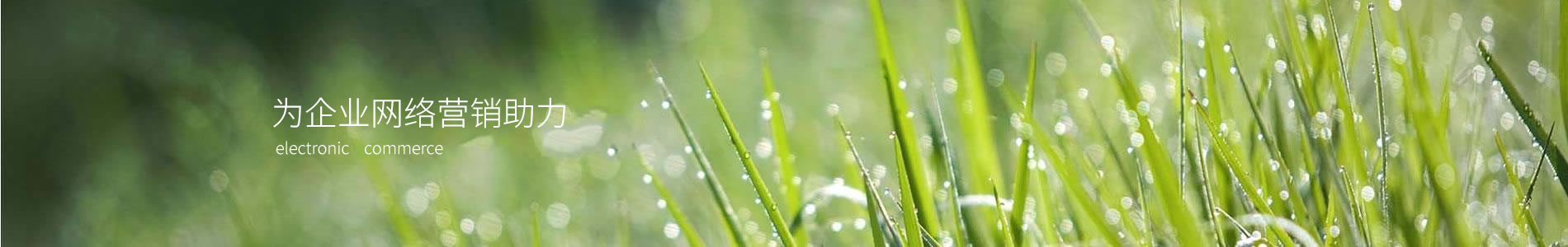 ֣ݳԴƼ޹˾